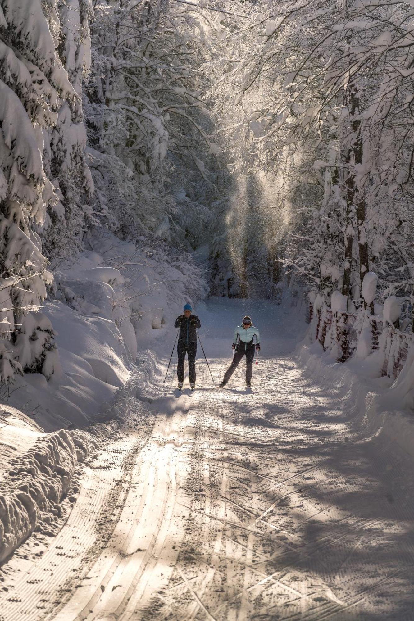 Natur- & Wanderhotel Tuxertal Екстер'єр фото