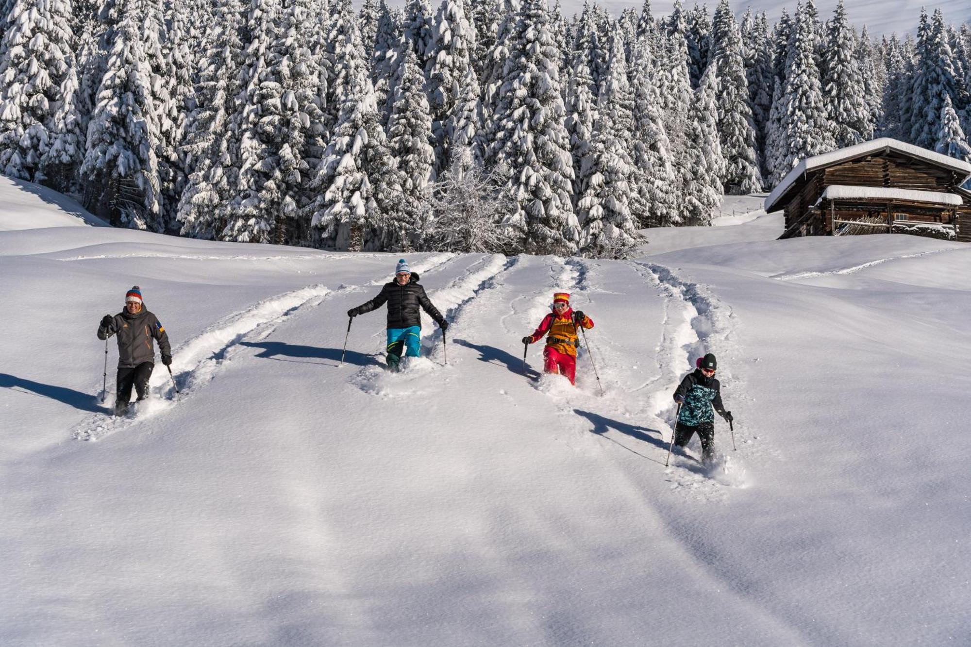 Natur- & Wanderhotel Tuxertal Екстер'єр фото